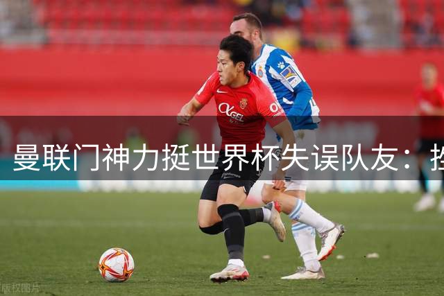 曼联门神力挺世界杯失误队友：挫折将铸就更强守护神