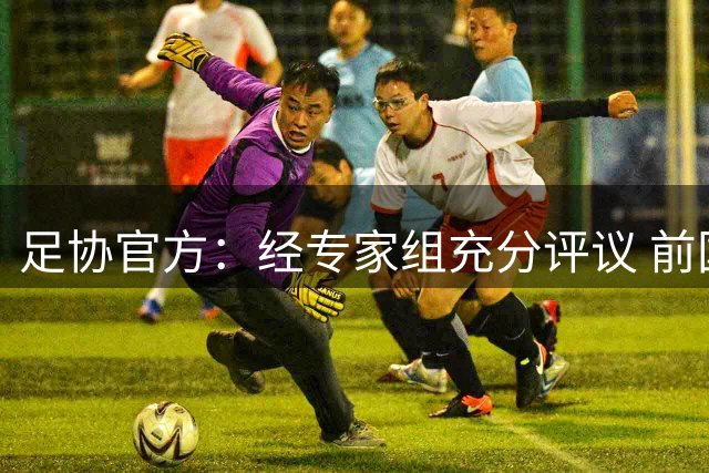 足协官方：经专家组充分评议 前国脚张耀坤出任U16国足主帅